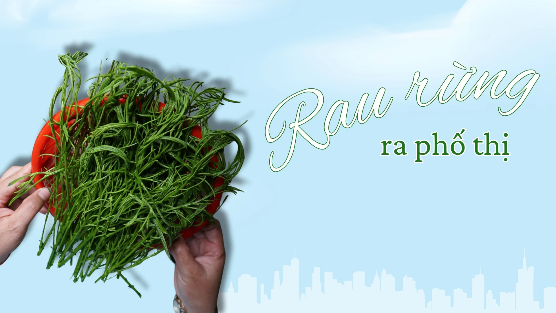 Rau rừng ra phố thị