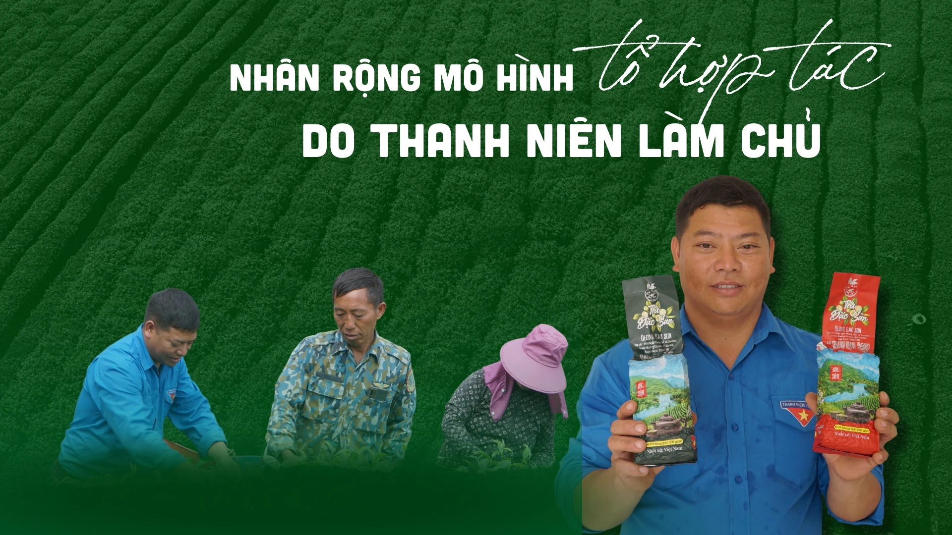 Nhân rộng mô hình tổ hợp tác do thanh niên làm chủ