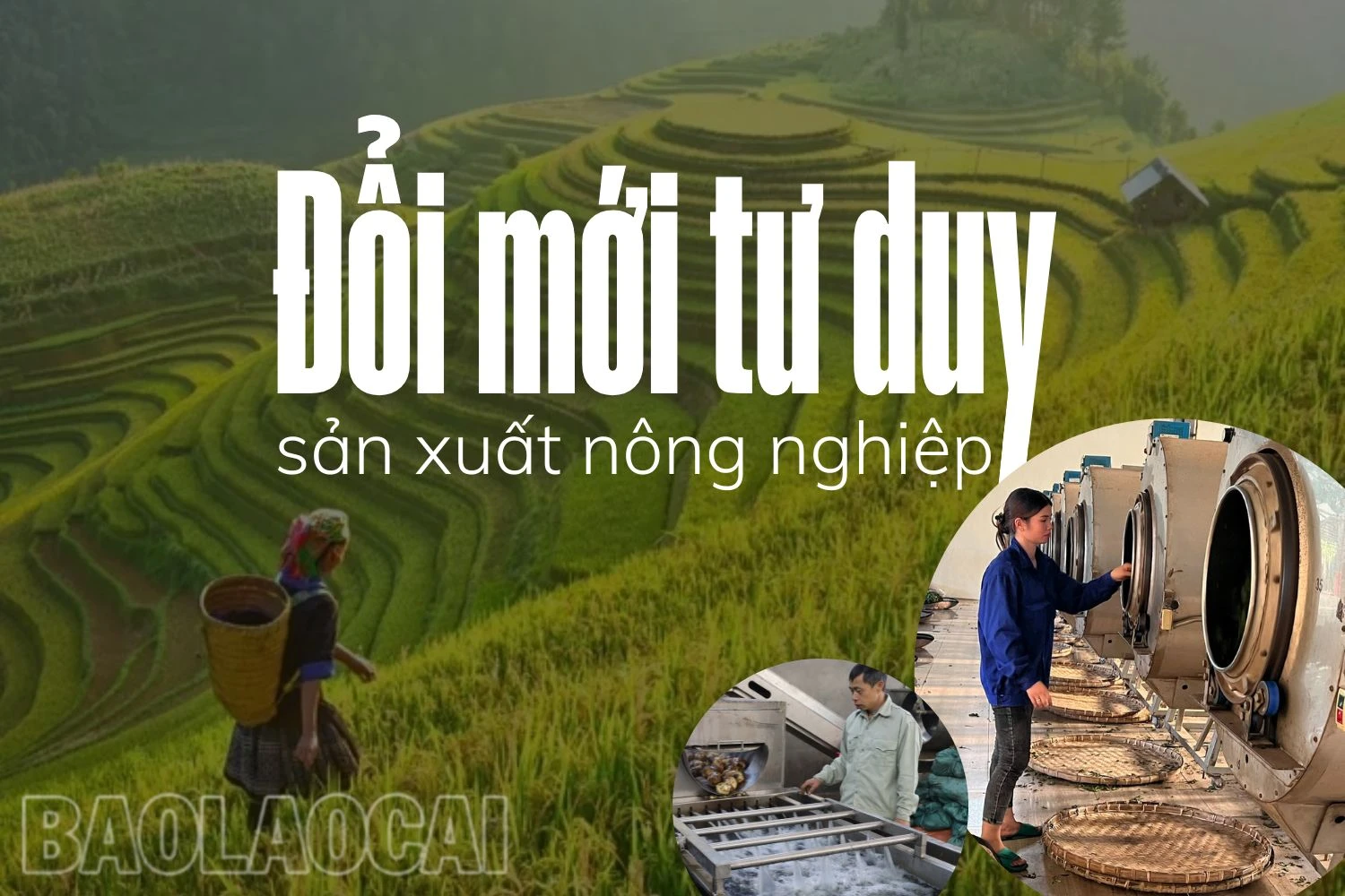 Đổi mới tư duy sản xuất nông nghiệp