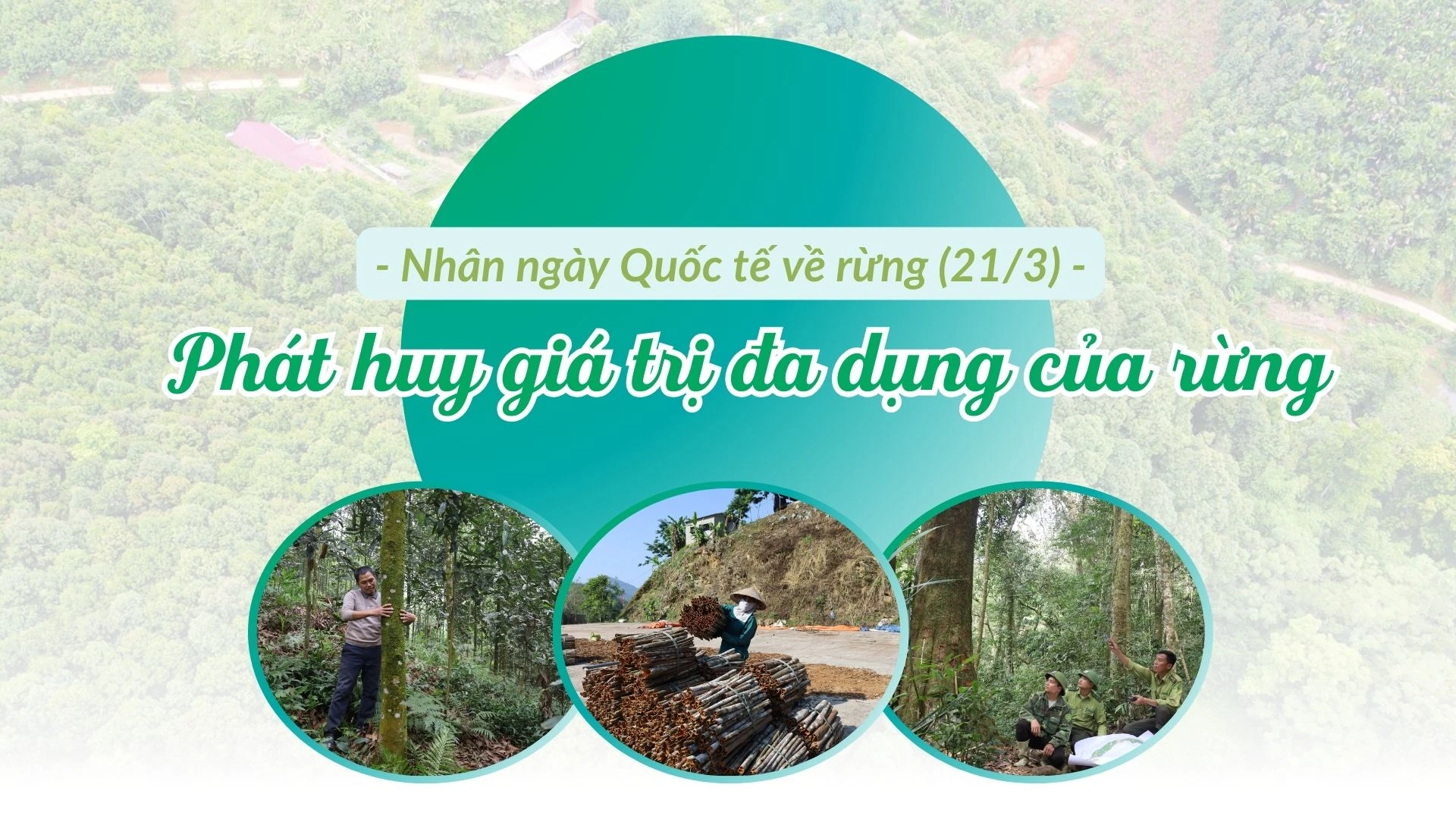 Phát huy giá trị đa dụng của rừng