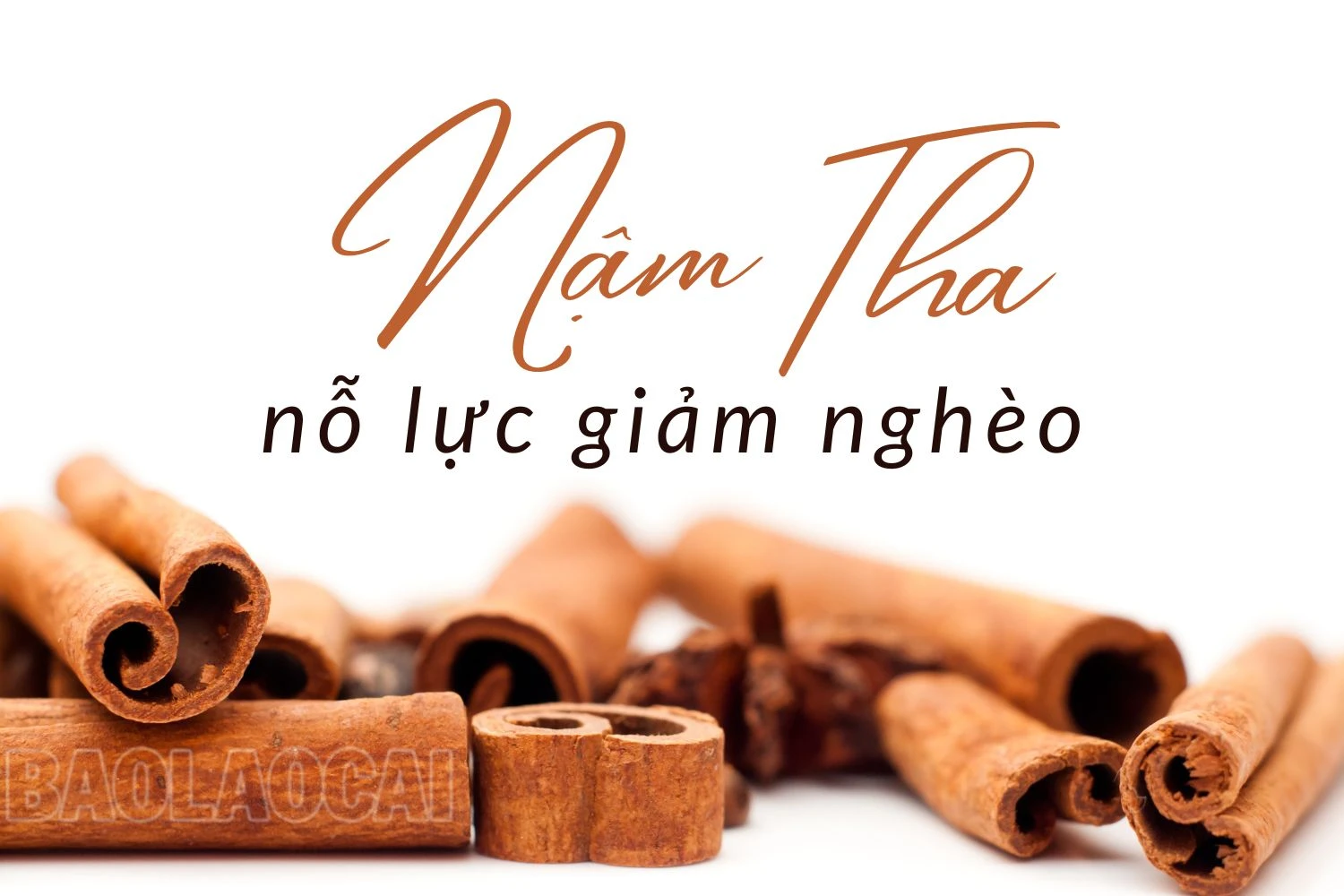 Nậm Tha nỗ lực giảm nghèo