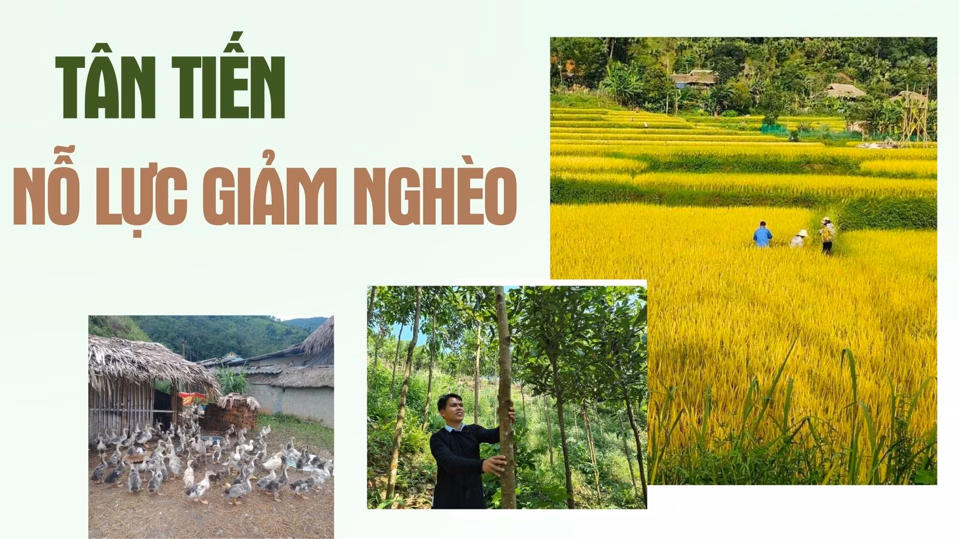 Tân Tiến nỗ lực giảm nghèo