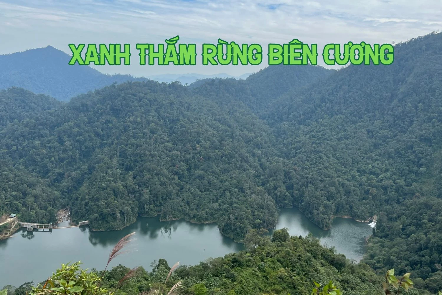 Xanh thắm rừng biên cương