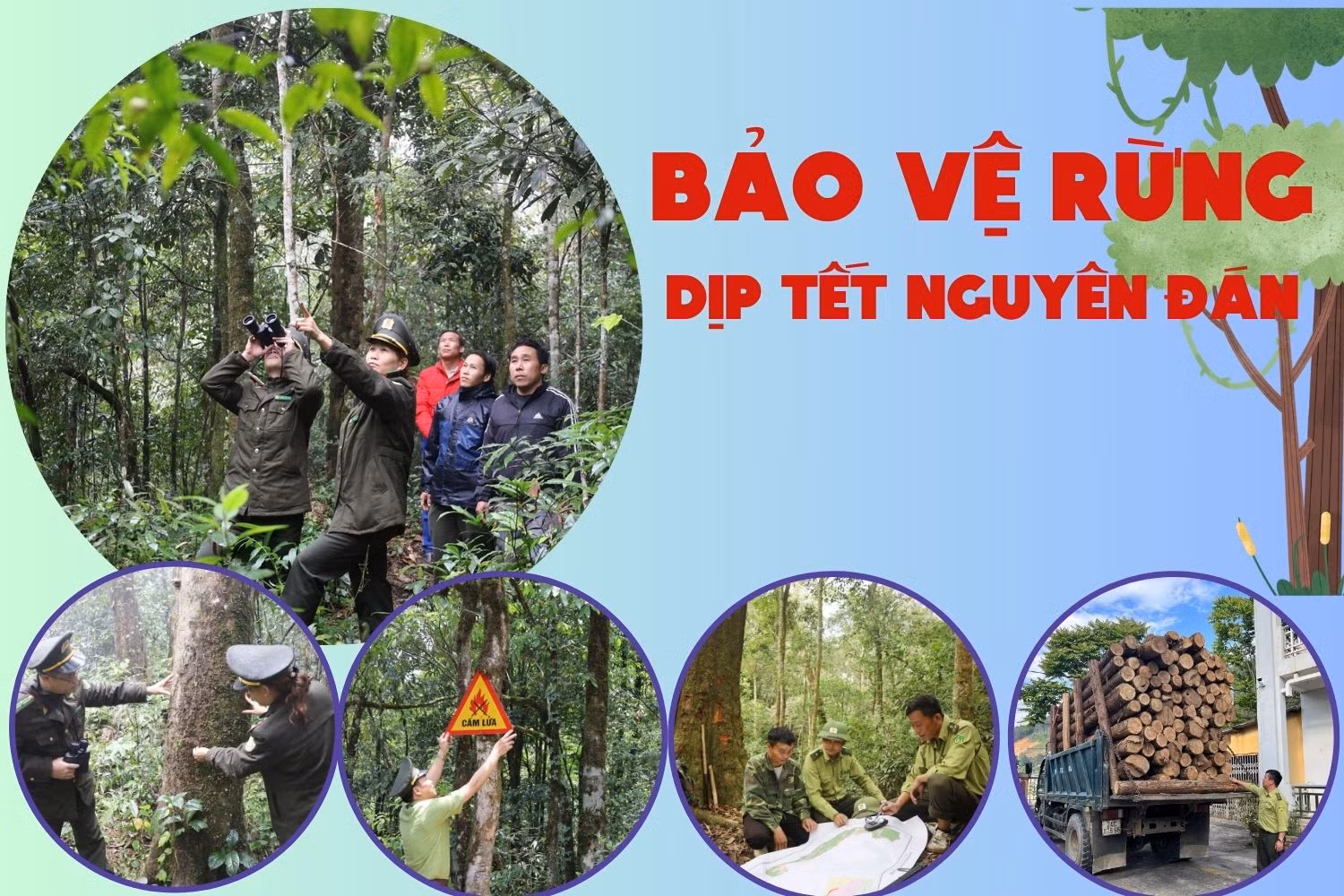 Bảo vệ rừng dịp tết Nguyên đán