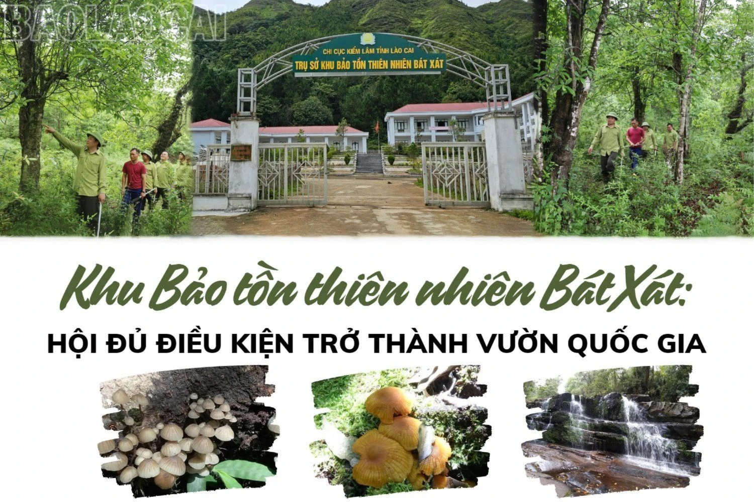 Khu Bảo tồn thiên nhiên Bát Xát: Hội đủ điều kiện trở thành vườn quốc gia