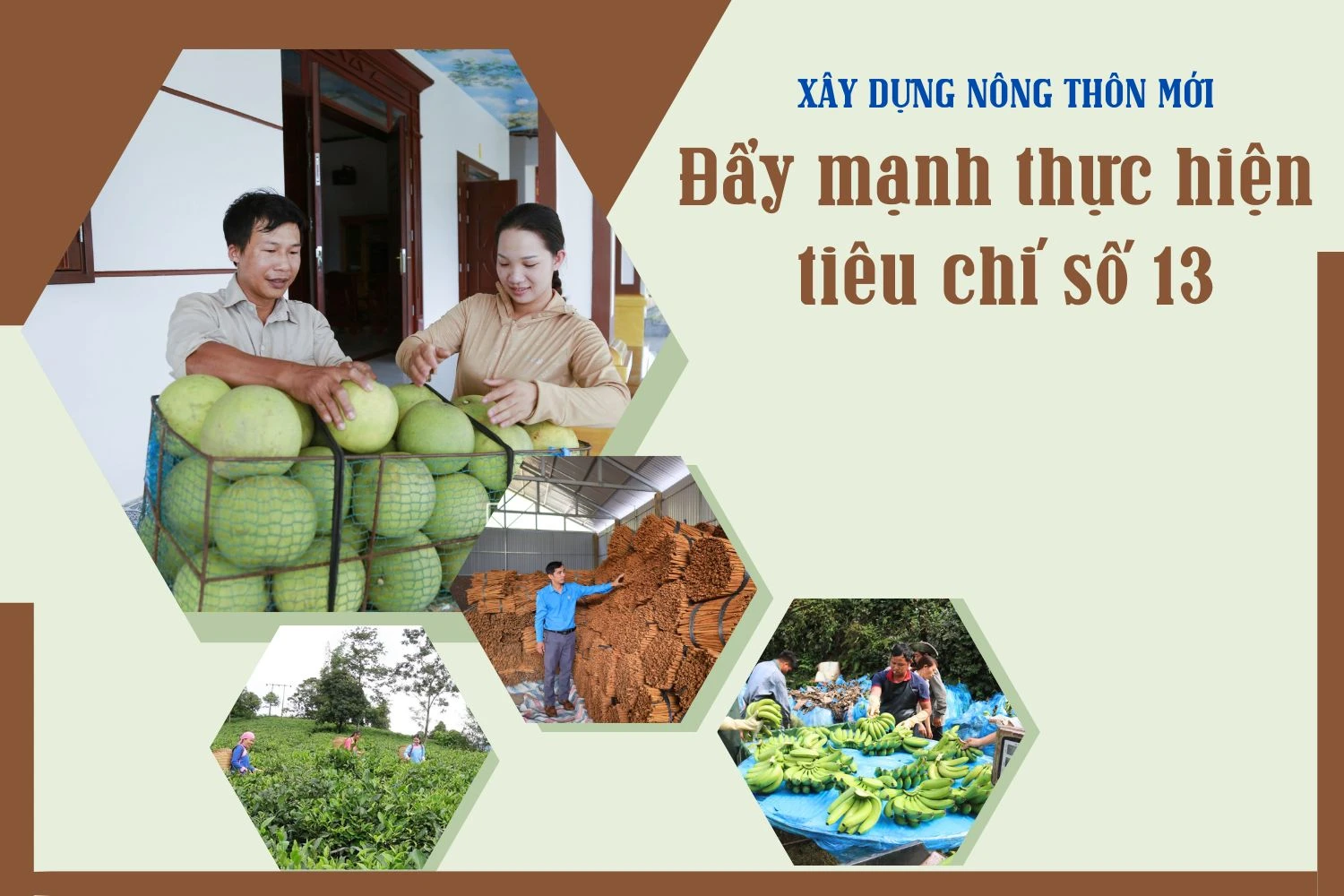 Đẩy mạnh thực hiện tiêu chí số 13