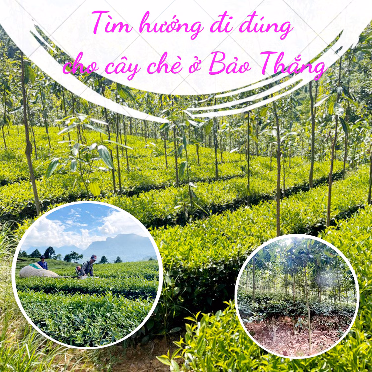 Bài cuối: Cần giải pháp xóa bỏ nghịch lý