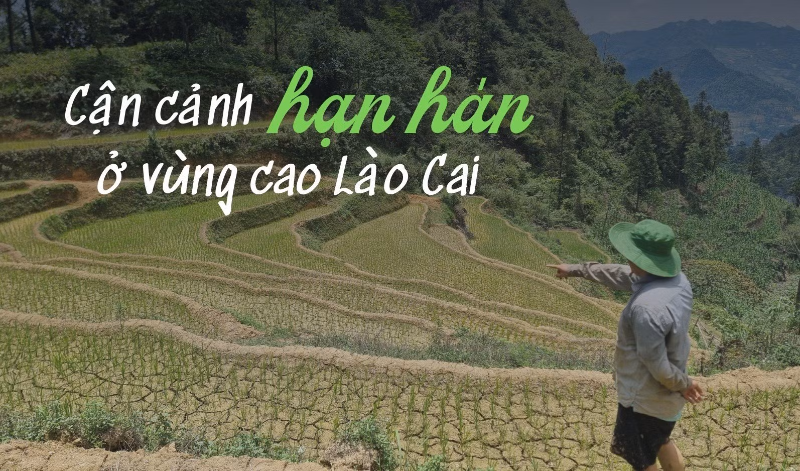 Cận cảnh hạn hán ở vùng cao Lào Cai