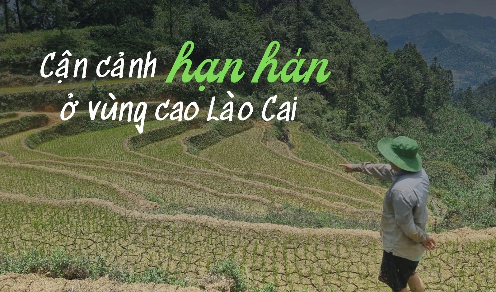 Cận cảnh hạn hán ở vùng cao Lào Cai