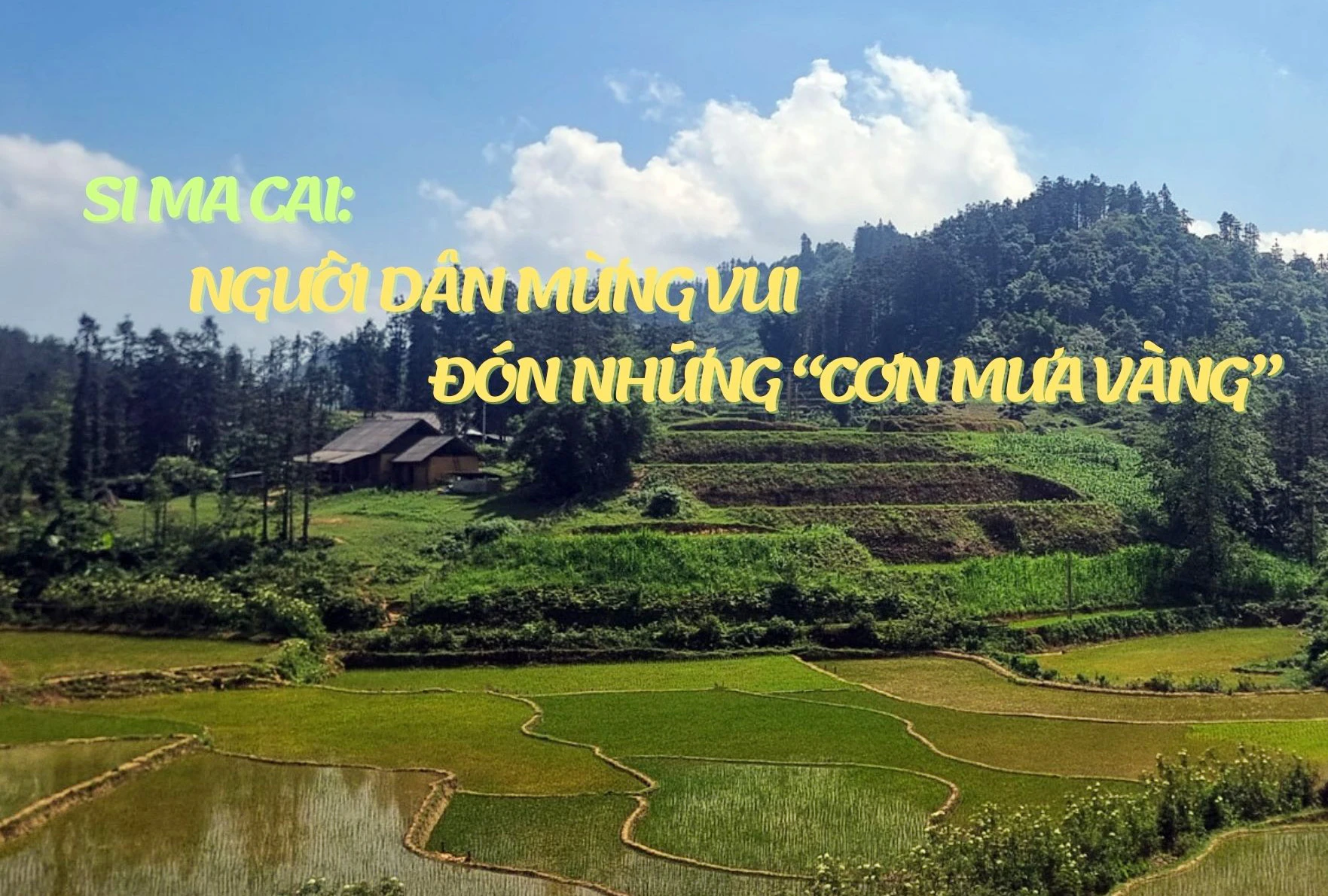 Si Ma Cai: Người dân mừng vui đón những “cơn mưa vàng”