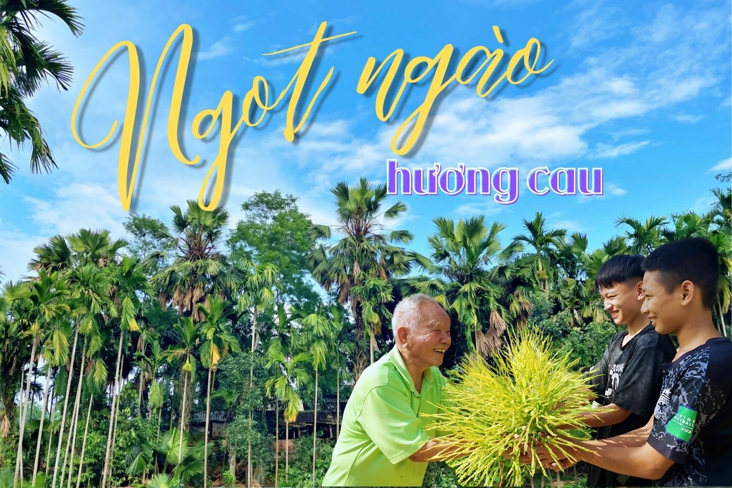 Ngọt ngào hương cau