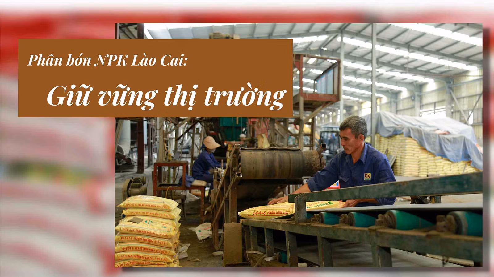 Phân bón NPK Lào Cai: Giữ vững thị trường