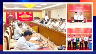 Điểm tin trong tuần từ ngày 9 - 15/6