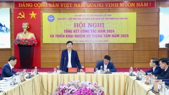 Liên hiệp các tổ chức hữu nghị Cụm số 2 tổng kết hoạt động năm 2024