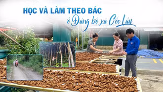 Học và làm theo Bác ở Đảng bộ xã Cốc Lầu