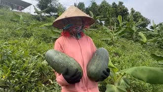 Dưa hấu được mùa, nông dân Mường Khương rạng rỡ nụ cười