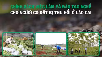 [Infographic] Chính sách việc làm và đào tạo nghề cho người có đất bị thu hồi trên địa bàn tỉnh Lào Cai