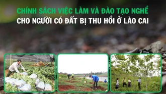 [Infographic] Chính sách việc làm và đào tạo nghề cho người có đất bị thu hồi trên địa bàn tỉnh Lào Cai