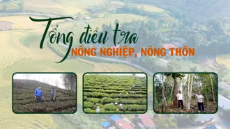 [Infographic] Tổng điều tra nông nghiệp, nông thôn