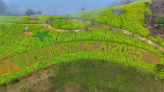 Núi Tình mùa xuân đến