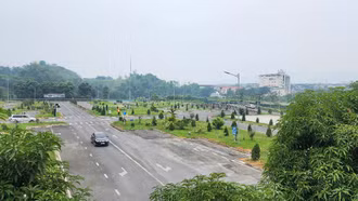 Sở Giao thông vận tải sẽ tạm dừng tiếp nhận hồ sơ cấp, đổi giấy phép lái xe