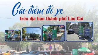 [Infographic] Các điểm đỗ xe trên địa bàn thành phố Lào Cai