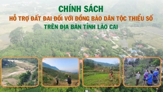 [Infographic] Chính sách hỗ trợ đất đai đối với đồng bào dân tộc thiểu số trên địa bàn tỉnh Lào Cai