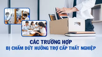 [Infographic] Các trường hợp bị chấm dứt hưởng trợ cấp thất nghiệp