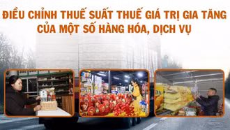 [Infographic] Điều chỉnh thuế suất thuế giá trị gia tăng của một số hàng hóa, dịch vụ