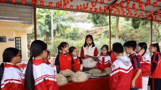 Nông nghiệp trường học – nền tảng cho giáo dục toàn diện