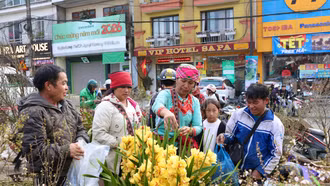 [Ảnh] Nhộn nhịp chợ hoa Sa Pa