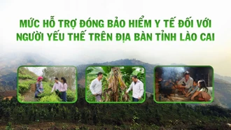 [Infographic] Quy định mức hỗ trợ đóng bảo hiểm y tế đối với người yếu thế trên địa bàn tỉnh Lào Cai