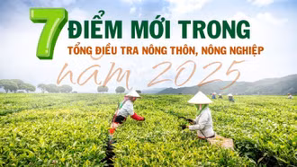 [Infographic] 7 điểm mới trong Tổng điều tra nông thôn, nông nghiệp năm 2025