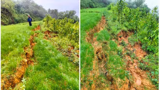 Cận cảnh vết nứt trên núi đe dọa các hộ dân ở xã Xuân Hòa (Bảo Yên)