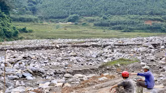 Ngổn ngang cánh đồng “đá” ở Trịnh Tường