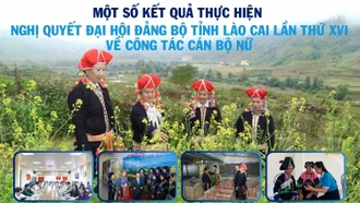 [Infographic] Một số kết quả thực hiện Nghị quyết Đại hội Đảng bộ tỉnh Lào Cai lần thứ XVI về công tác cán bộ nữ