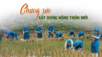 Chung sức xây dựng nông thôn mới