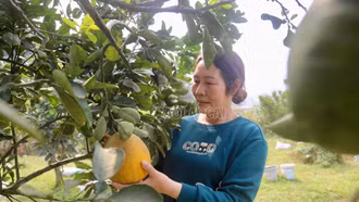 "Dân vận khéo" khơi dậy nội lực phát triển kinh tế ở Bát Xát