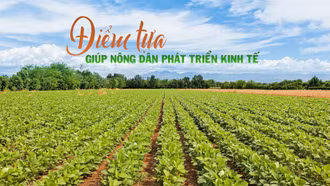 Điểm tựa giúp nông dân phát triển kinh tế