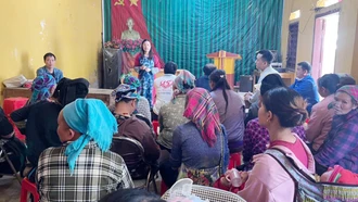 Liên kết tiêu thụ sản phẩm bông tại xã Thào Chư Phìn (Si Ma Cai)