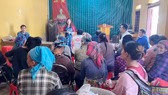 Liên kết tiêu thụ sản phẩm bông tại xã Thào Chư Phìn (Si Ma Cai)