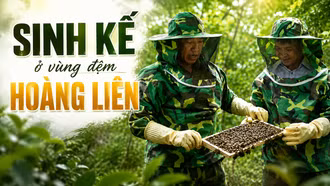 Sinh kế ở vùng đệm Hoàng Liên