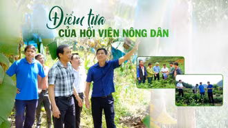 Điểm tựa của hội viên nông dân
