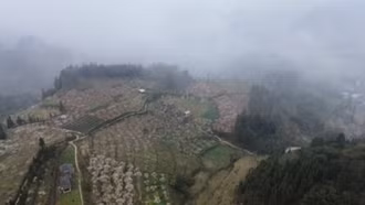 Mưa rào và dông rải rác