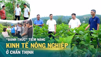 “Đánh thức” tiềm năng kinh tế nông nghiệp ở Chấn Thịnh