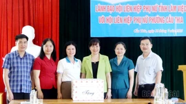 Chú trọng nâng cao năng lực cán bộ, phát triển mô hình tập hợp phụ nữ