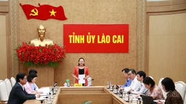 Đoàn giám sát số 02 của Tỉnh ủy tổ chức họp triển khai nhiệm vụ