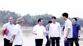 Thường trực Tỉnh uỷ chỉ đạo Đảng uỷ UBND tỉnh đề xuất phương án giải quyết tình trạng ngập, úng khu vực ven sông Hồng trước ngày 10/10