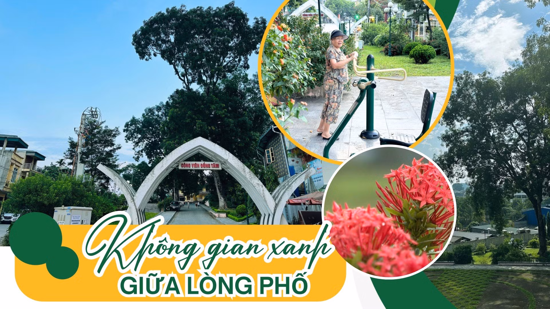 Không gian xanh giữa lòng phố