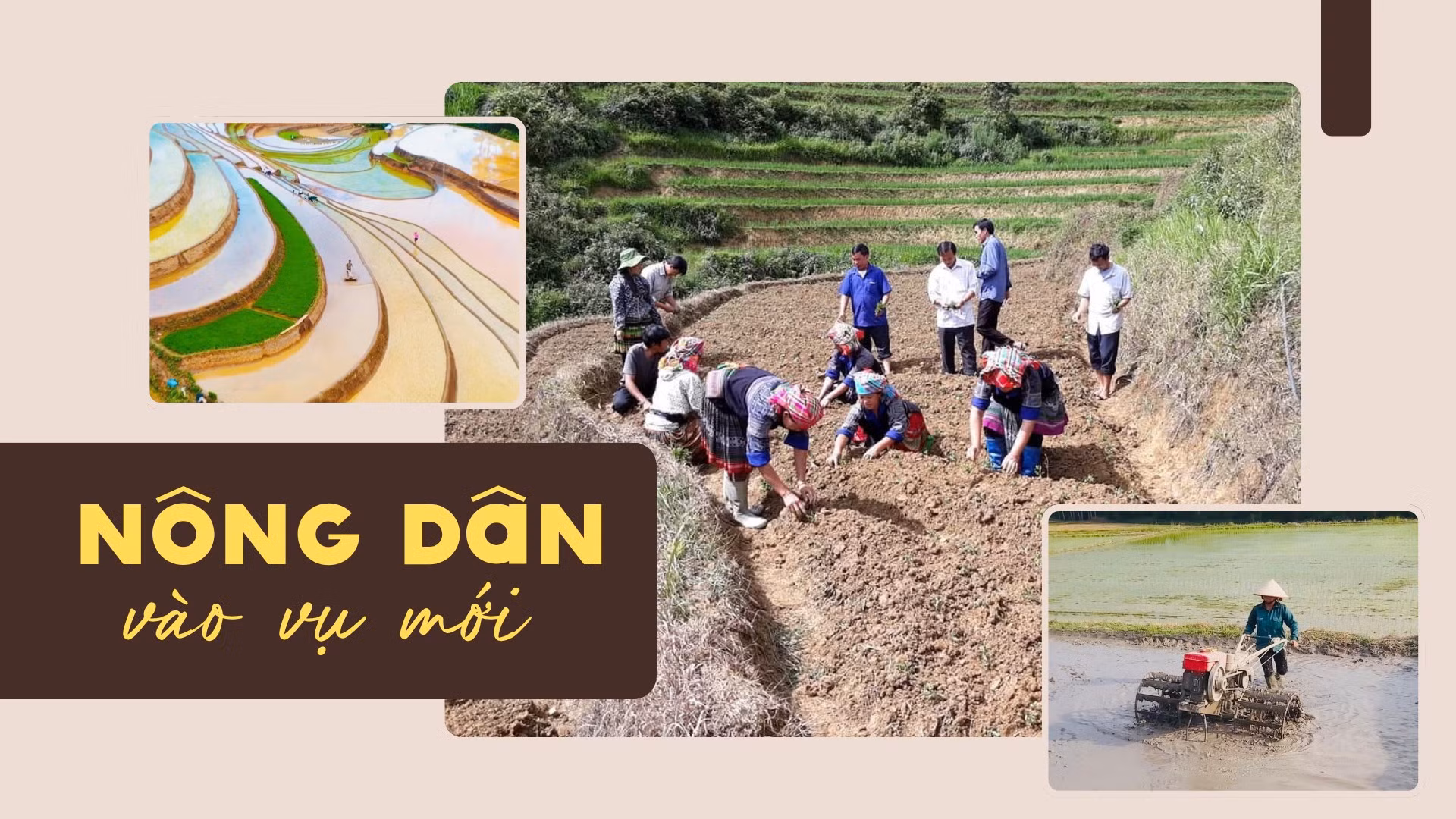 Nông dân vào vụ mới